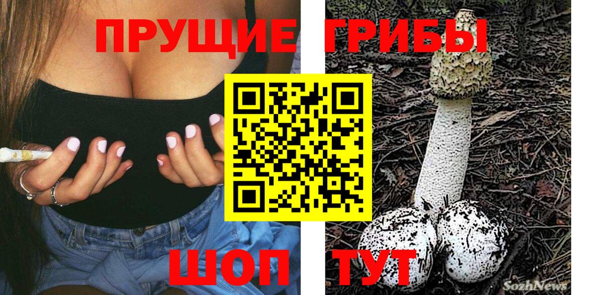 Галлюциногенные грибы Psilocybine cubensis  магазин продажи   Южно-Сахалинск  Вход с VPN 