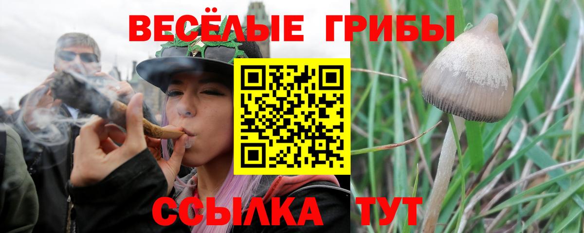 Псилоцибиновые грибы MAGIC MUSHROOMS Южно-Сахалинск